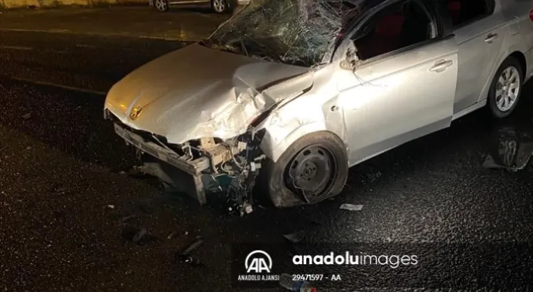 Tekirdağ'da refüje ve tabelalara çarpan otomobildeki iki kişi yaralandı