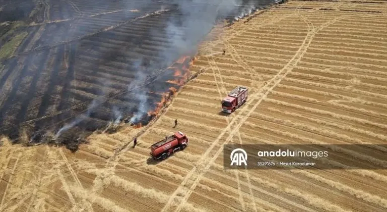 Tekirdağ'da temmuzda çıkan yangınlarda 19 bin 676 dekar tarım arazisi zarar gördü