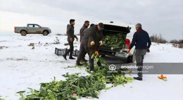 Tekirdağ'da yaban hayvanları için doğaya 2 ton yem bırakıldı