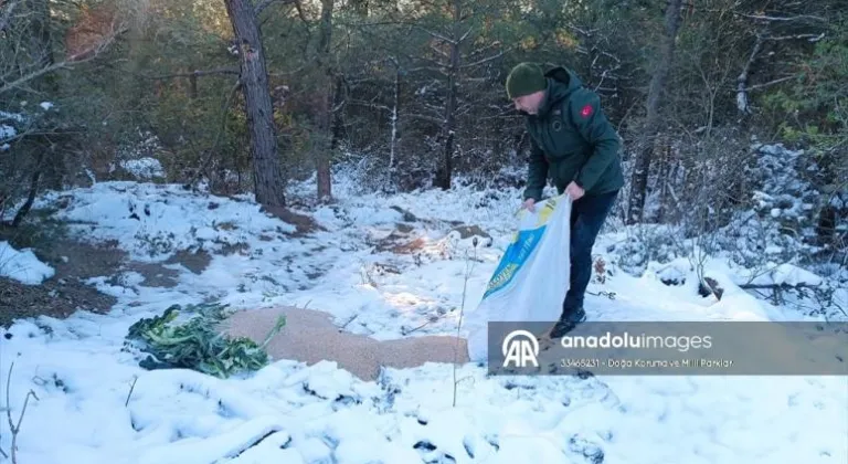 Tekirdağ'da yaban hayvanları için doğaya yem bırakıldı