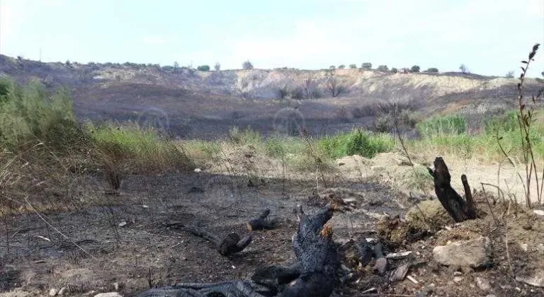 Tekirdağ'da zeytinlikte çıkan yangın kontrol altına alındı