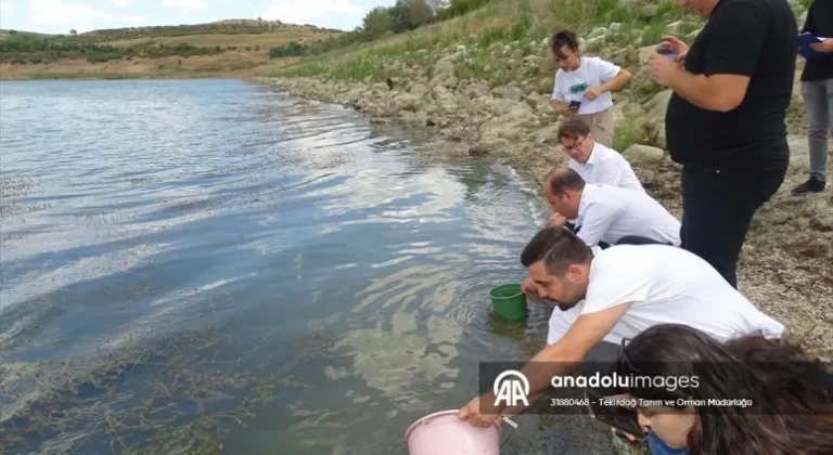 Tekirdağ'daki göletlere 492 bin sazan bırakıldı