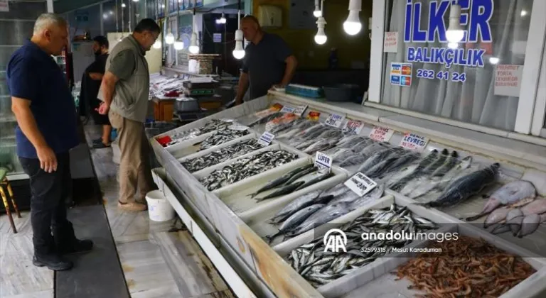 Tekirdağ'daki lüfer bolluğu tezgahlarda fiyatları aşağı çekiyor