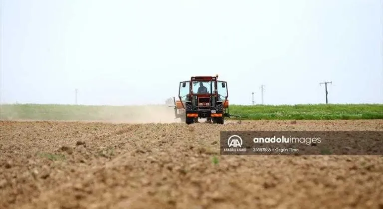 Trakya'da çiftçiler 