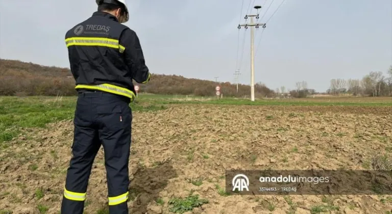 Trakya'da leylek yuvalarının bakımı termal kameralı dronla gerçekleştiriyor