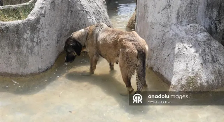 Trakya'da sıcak hava etkili oluyor