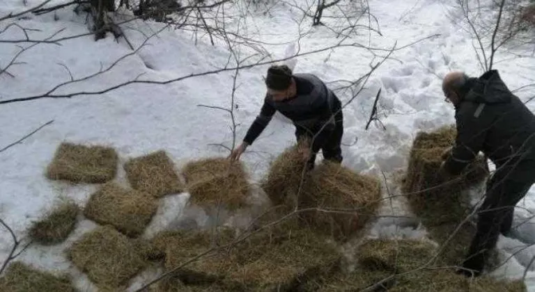 Trakya'da yaban hayvanları için doğaya 2 ton 470 kilo yem bırakıldı