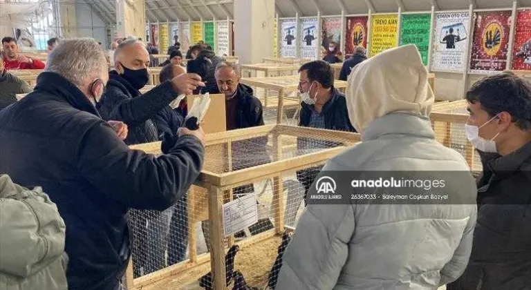 TRAKYA’DAN KISA KISA