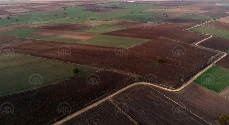 TRAKYA'NIN VERİMLİ TOPRAKLARI ÇİFTÇİNİN YÜZÜNÜ GÜLDÜRÜYOR