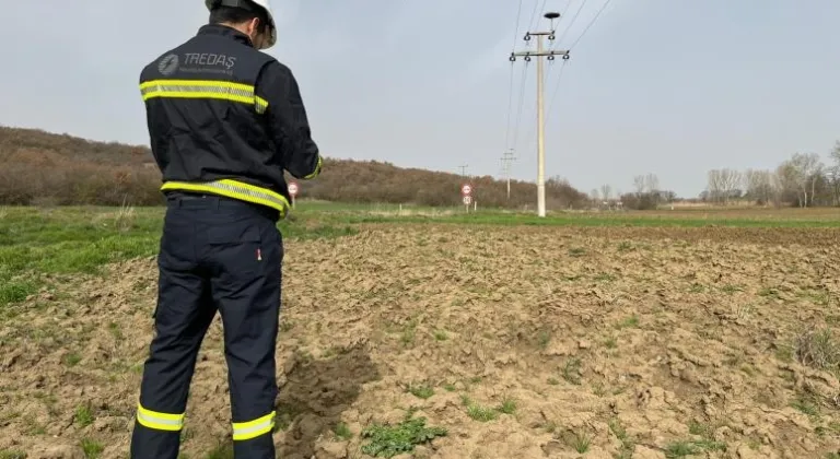  TREDAŞ’TAN LEYLEK YUVALARINA BAHAR BAKIMI