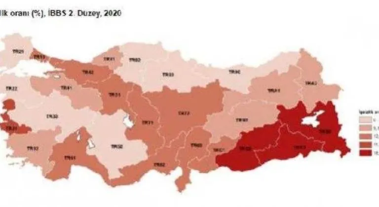 TÜİK-2020'de işsizlik yüzde 13,2’ye, istihdam yüzde 42,8’e geriledi