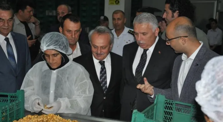 Vali Yıldırım Akya Mantar’da İncelemelerde Bulundu