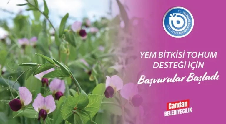 YEM BİTKİSİ TOHUM DESTEĞİ BAŞVURULARI BAŞLADI