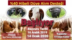 İlgili Haber